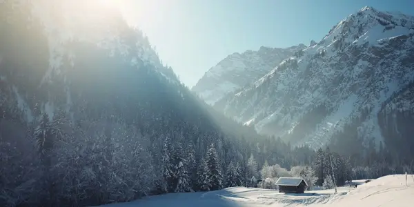 Vallée alpine enneigée bordée de sapins